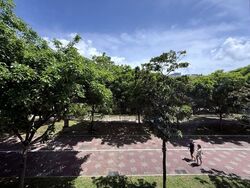 Blk 287C Compassvale Cape (Sengkang), HDB 4 Rooms #566464771